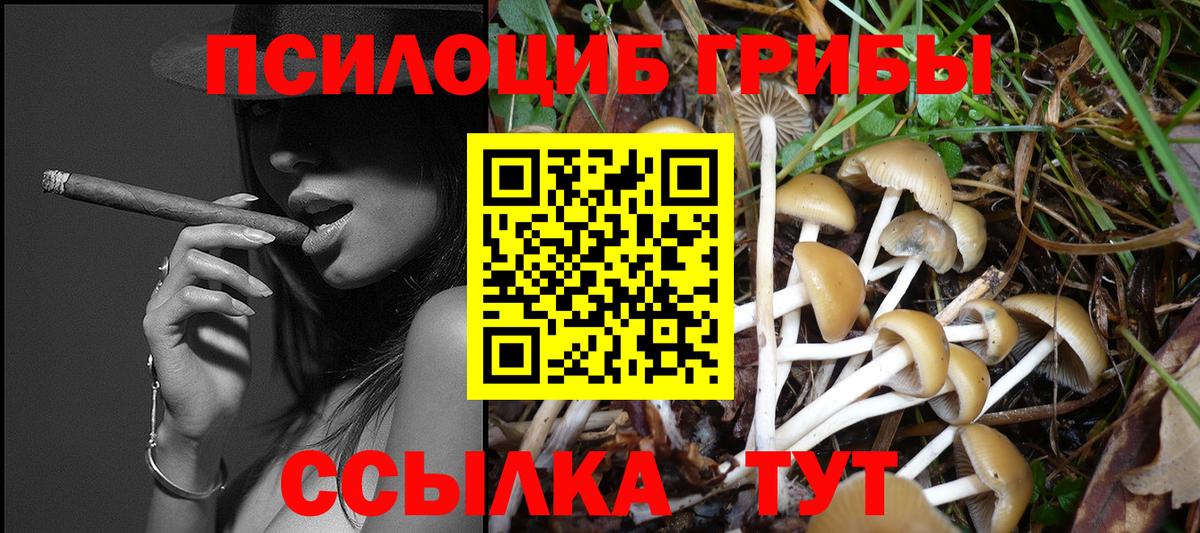 Псилоцибиновые грибы Psilocybe  Псилоцибиновые грибы прущие грибы  даркнет сайт  Вход с VPN  Волжск 