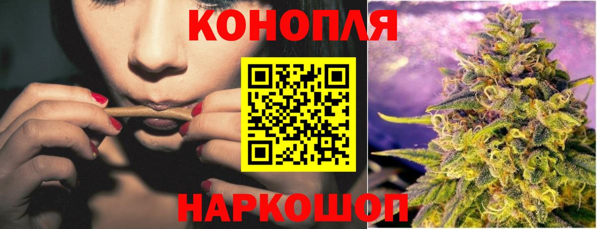 Конопля гибрид Волжск